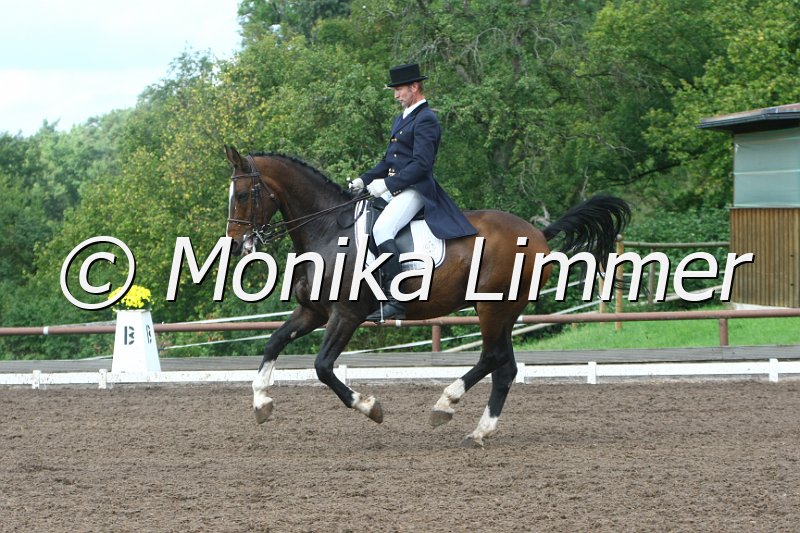 109M4215_Hanno_Dressur Sxx.JPG